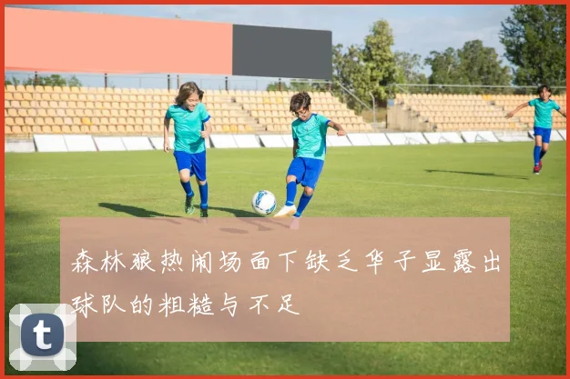 森林狼热闹场面下缺乏华子显露出球队的粗糙与不足